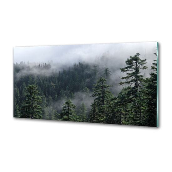Wallmuralia Dekorační panel sklo Lesní mlha