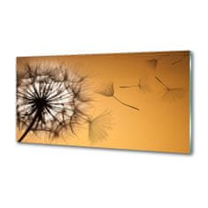 Wallmuralia Dekorační panel sklo Pampeliška 120x60 cm