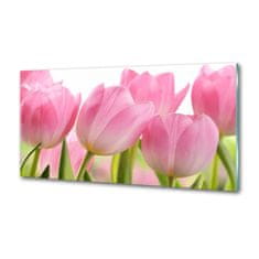 Wallmuralia Panel do kuchyně Růžové tulipány 100x50 cm