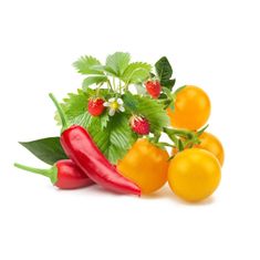 Click and Grow Mix ovoce a zeleniny, kapsle se semínky a substrátem 9ks