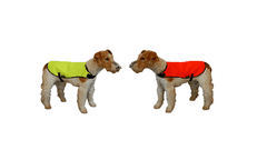 Reflexní vesta pro psy bez reflexní pásky, oranžová, XL