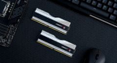 G.Skill Trident Z5 RGB 32GB (2x16GB) DDR5 6000 CL36, AMD EXPO, stříbrná