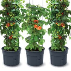 Prosperplast Sada 3X Květináč Na Pěstování Rajčat Tomato Grower 392X1530 Mm - Antracit