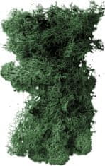 Rosteto Mech preparovaný 20 g mechově zelená
