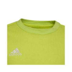 Adidas Mikina zelená 159 - 164 cm/L Entrada 22 Sweat Top
