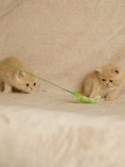 Japan Premium Hračka pro kočky a koťata teaser zelený chlupatý klásek, podlouhlý.