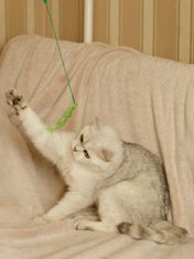 Japan Premium Hračka pro kočky a koťata teaser zelený chlupatý klásek, podlouhlý.