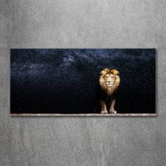 Wallmuralia Foto obraz sklo tvrzené Lev na pozadí hvězd 125x50 cm 2 úchytky