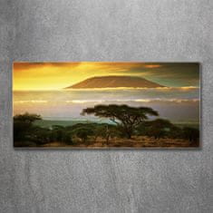 Wallmuralia Fotoobraz na skle Kilimanjaro Kenya 125x50 cm 4 úchytky