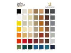Leather Expert Colourant - barva na kůži 250 ml
