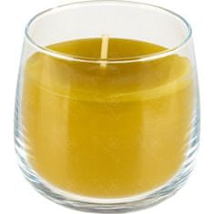 Ami Honey Vonná svíčka z přírodního vosku ve skle Stepnice 72 mm santalové dřevo