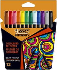 Bic Sada fixů "Intensity Up", 12 různých barev, 978004