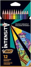 Bic Sada pastelek "Intensity Up", 12 různých barev, trojúhelníkový tvar, 9505273