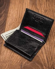 Always Wild Malá kožená peněženka pro muže