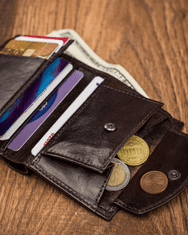 Always Wild Klasická vertikální peněženka z přírodní kůže