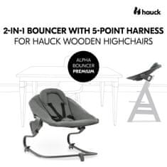 Hauck Alpha+ Bouncer premium Dark Grey