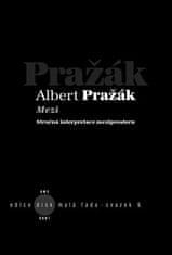Albert Pražák: Mezi - Stručná interpretace meziprostoru