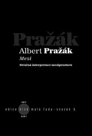 Albert Pražák: Mezi - Stručná interpretace meziprostoru