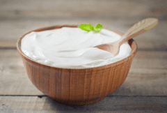 Naklíčeno Domácí jogurtová kultura na výborbu jogurtu