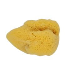 Adonis Mořská houba SILK 11-12 cm