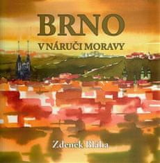 Zdeněk Bláha: Brno v náruči Moravy