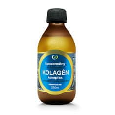 Zdravý svet Lipozomální hydrolyzovaný kolagen komplex 250 ml