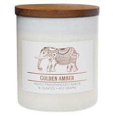 Colonial Candle Svíčka dekorativní válec , Zlatá ambra, 453 g